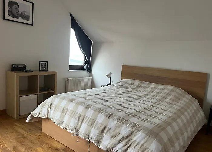 Les Scailletons A - Ardenne Belge Сasa de vacaciones *